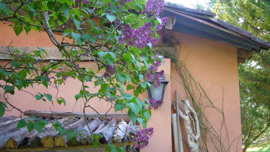 La Maison De Melen Moustiers-Sainte-Marie Exterior foto