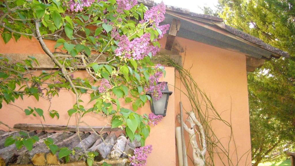La Maison De Melen Moustiers-Sainte-Marie Exterior foto
